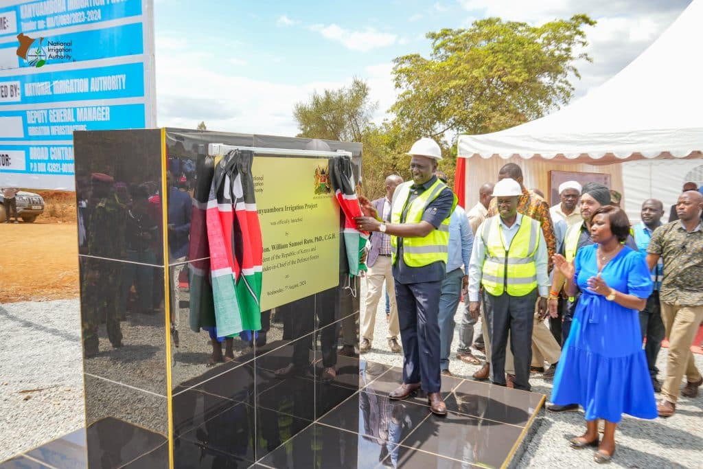 A side to side photo launching Kanyuambora Irrigation Project launched by Sicily Kariuki and President William Ruto launching the same. Photo/ Courtesy