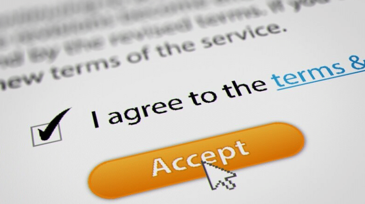 Terms and Conditions