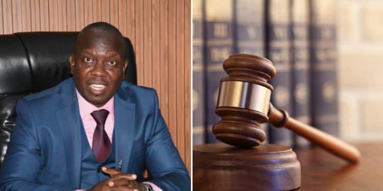 Collage of the Director of Public Prosecutions (DPP) & a court gavel, PHOTO/Courtesy