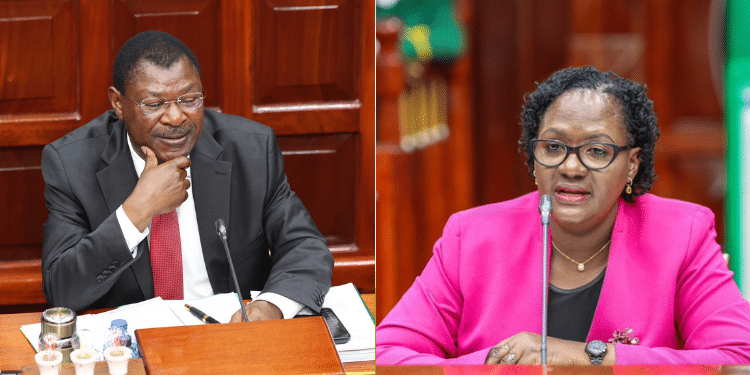 Stella Soi Lang'at: Why MPs Rejected Nomination as CS