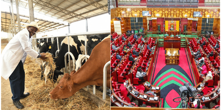 Livestock Bill 2024: National Assembly Drops Consideration
