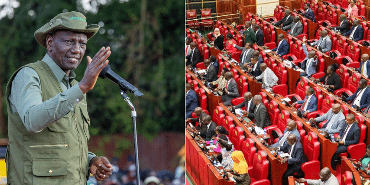 Appeals Bill, 2024: Parliament to Start Public Participation