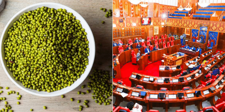 Mung Beans Bill, 2022: Senator Forced to Clarify Ndengu Bill