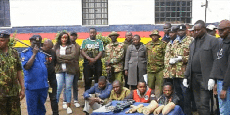 Police Officer Arrested with Rhino Horns, Guns & Bullets