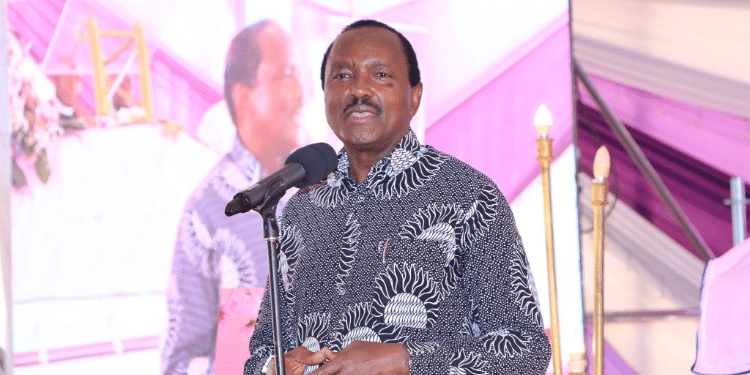 Kalonzo Musyoka