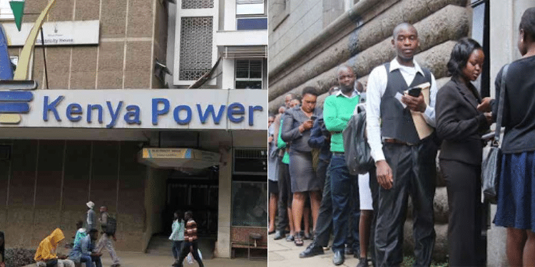 A side to side photo of KPLCS and Kenyans lining for jobs. Photo/ Courtesy