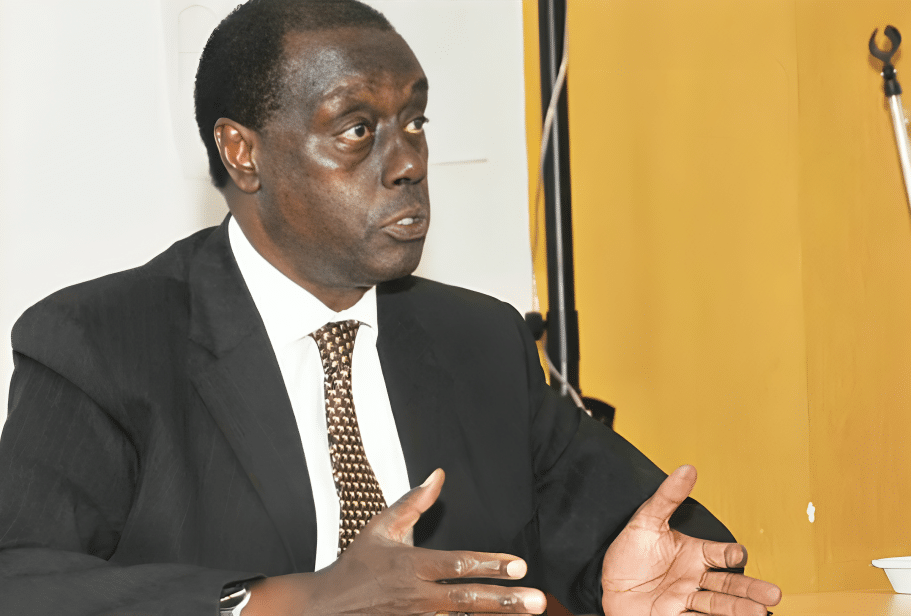 Lawyer Paul Muite