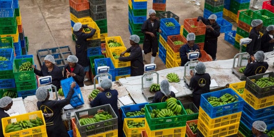 Twiga employees at work. Photo/ courtesy