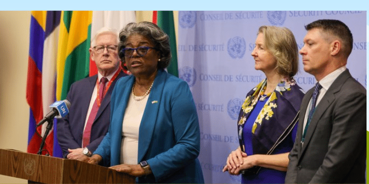 Win for Africa as US Supports 2 Permanent UNSC Seats