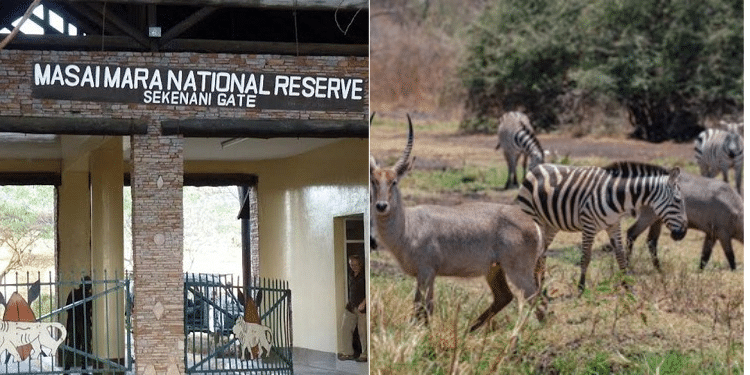 List of Parks Kenyans Can Visit for Free to Mark World Tourism Day