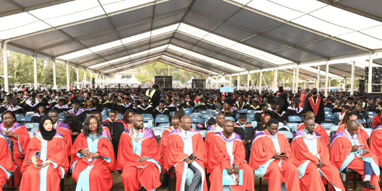 Amaco Ltd Announces 6-Month Graduate Trainee Programme; How to Apply