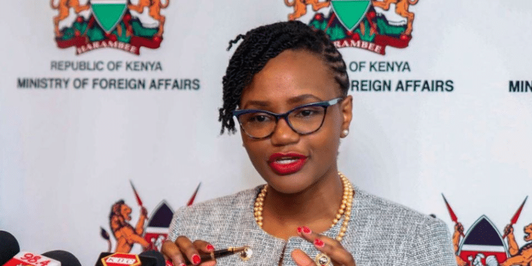 Principal Secretary of the State Department for Diaspora Affairs, Roseline Njogu. Photo/ Njogu