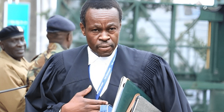 PLO Wins Defamation Case against Cecily Mbarire