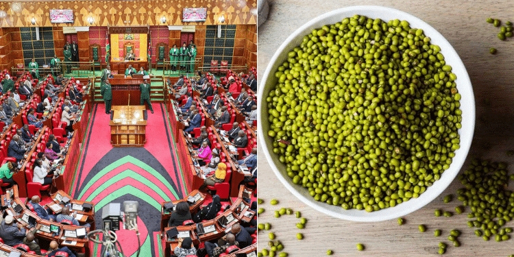 A collage of Members of Parliament in past plenary session and Ndengu. photo/ Parliament OF Kenya