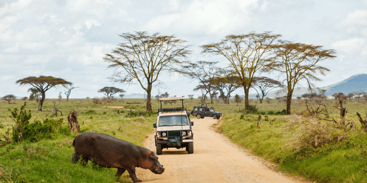 KWS Lists Rules for Kenyans Visiting Parks in Free Entry Day