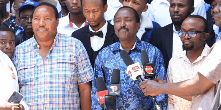 Kalonzo Issues Statement on Planned Vaccination of Cattle