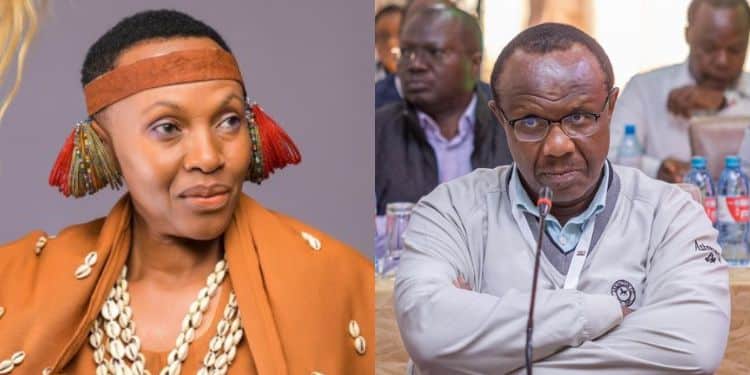 David Ndii