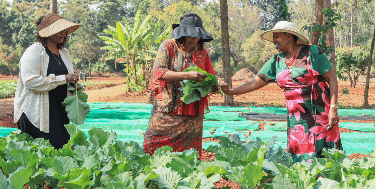 How Rachel Ruto's Countrywide Kitchen Garden Project Will Be Implemented