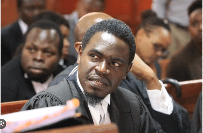 Havi Clarifies Allegations Against Murkomen Injuring a Lady