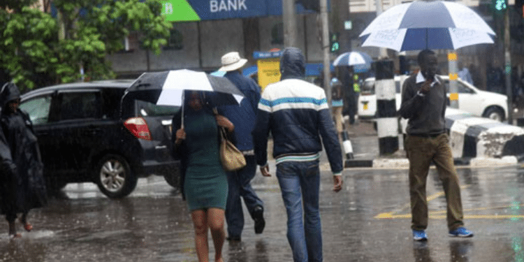 Kenya Met Lists Regions Expected to Receive Rainfall 