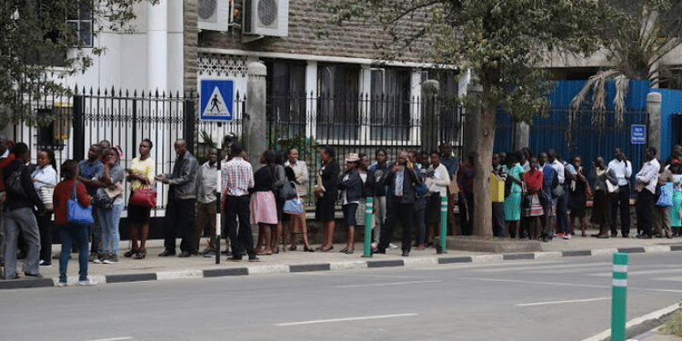 KPLC Cancels Internship Program That Was to Benefit Graduates