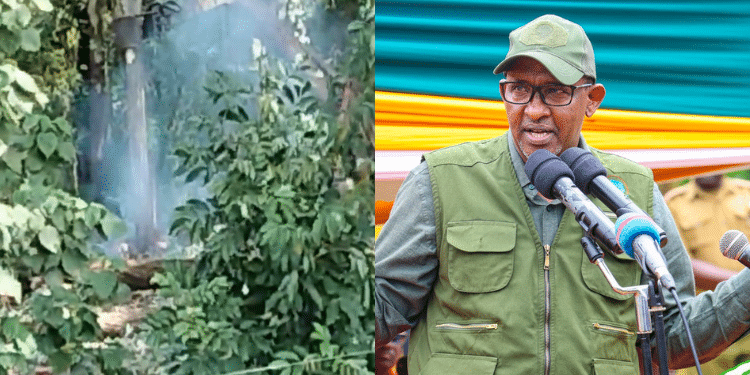 A photo collage of Environment CS Aden Duale and a screengrab of the ongoing cutting down of trees at Karura Forest. PHOTO/ Ministry of Environment. Kenya Forest Service