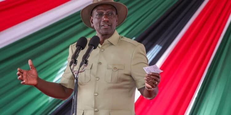 President William Ruto speaking during the celebrations of the Ol Pejeta Conservancy, Laikipia County on November 9, 2024. PHOTO/PCS. Refugees, refugees