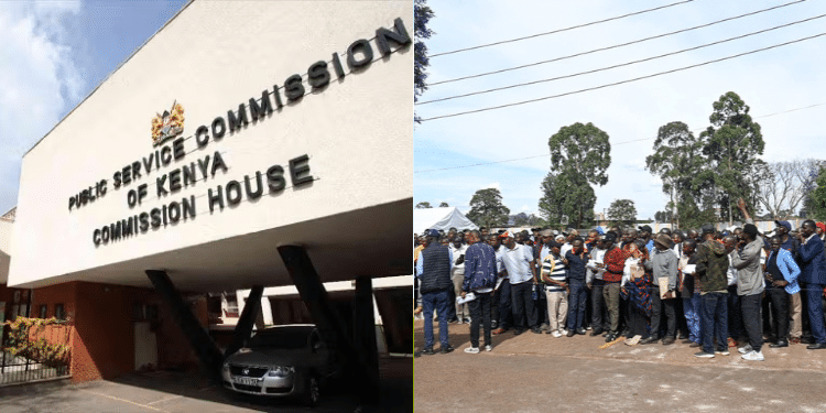 PSC Announces 290 Job Vacancies in Ministry of ICT
