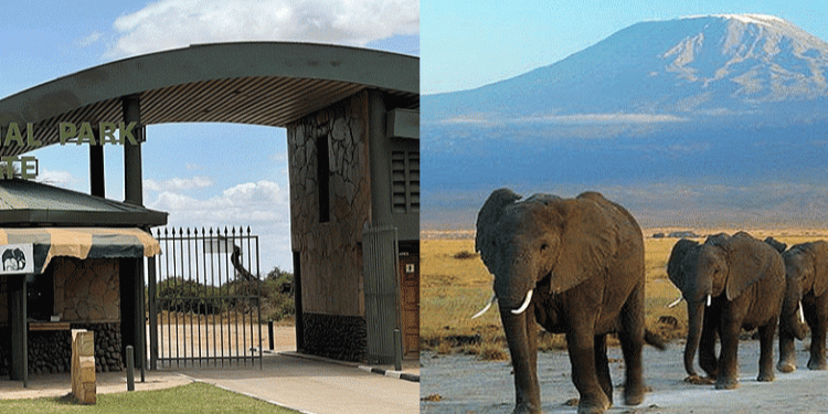 Image of a National Park gate in Kenya (left) and the image of elephants (right). Photo: Amboseli Park