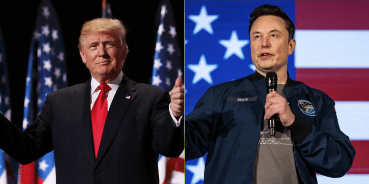 Trump Selects Elon Musk to Head Department of Government Efficiency