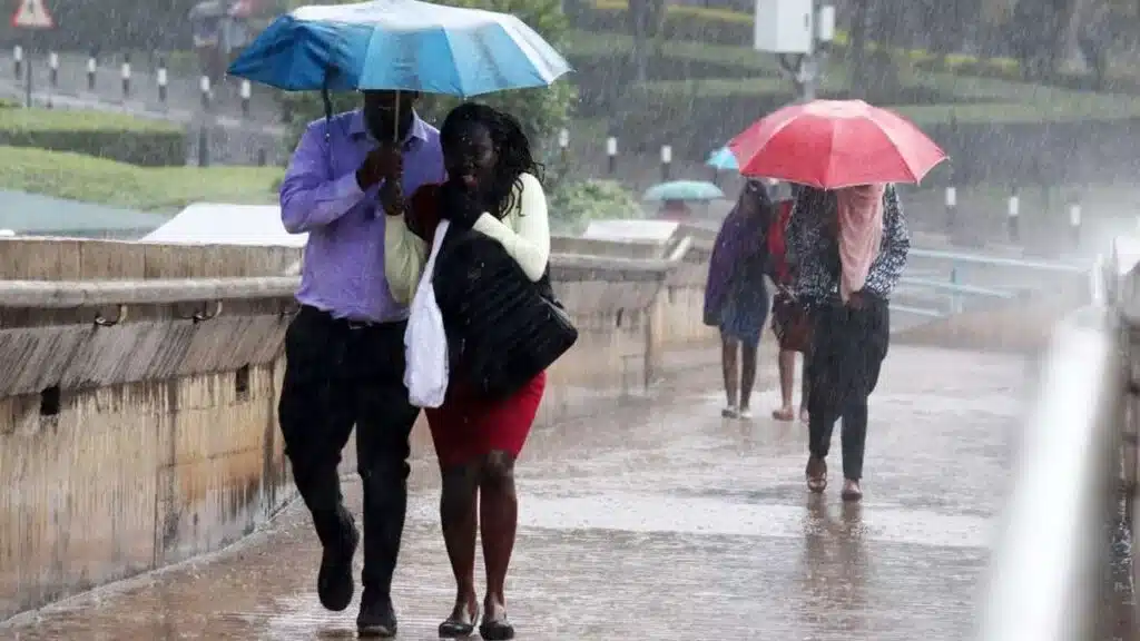 Pedestrians share an umbrella at the University of Nairobi footbridge on Jan 27, 2020. PHOTO | NATION Weather