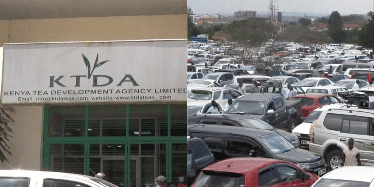 KTDA office and the cars being sold. Photo/ KTDA. Auctioneers Kenya