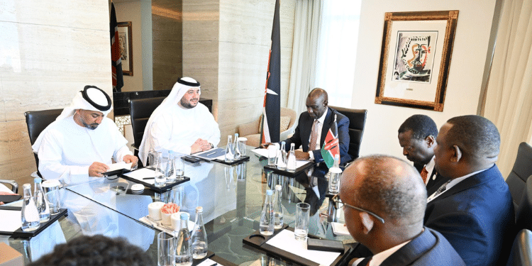 President William Ruto during a meeting with the UAE Investment minister Mohamed Hassan Alsuwaidi in Abu Dhabi on January 14, 2024. PHOTO/PCS.