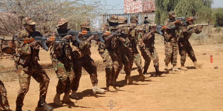 Murkomen Declares Full-Scale KDF, Police Operation