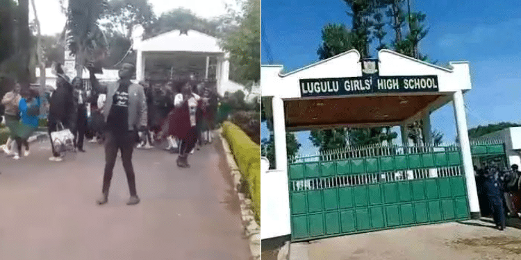 Withheld Lugulu Girls KCSE Results Released, Music Cancelled