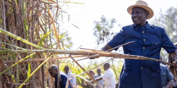 Wetang'ula Denies Sale of Nzoia Sugar Company by Ruto's Govt