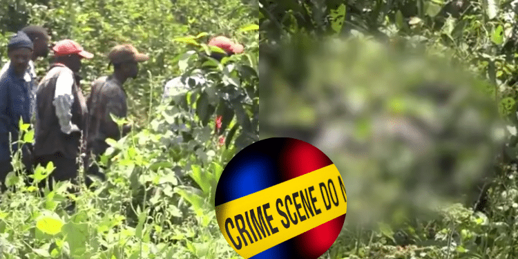 A photo collage of Kakamega residents at the scene and blurred image of the body. PHOTO/ Citizen Digital Screengrab.