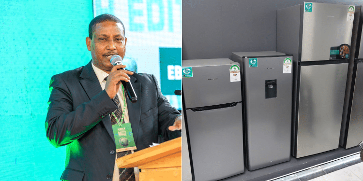 A photo collage of NEMA Director General, Mamo B. Mamo =and a photo of refrdigerators in display.