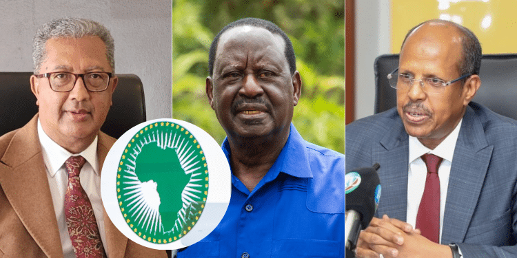 AUC Chairperson Elections Live Updates February 15 & 16