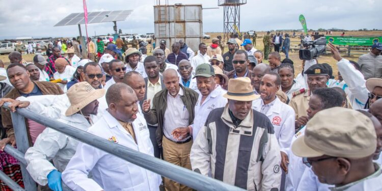 How Select Registered Kenyans Will Earn Ksh7000 In New Subsidy Program How Select Registered Kenyans Will Earn Ksh7 K In New Subsidy Program