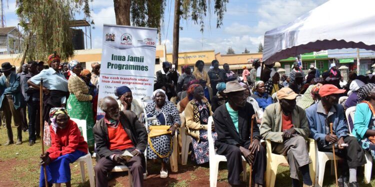 Inua Jamii Registration