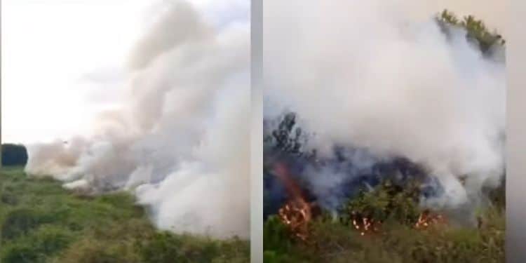 Screengrabs of fire spreading at Maasai Mara National Reserve.