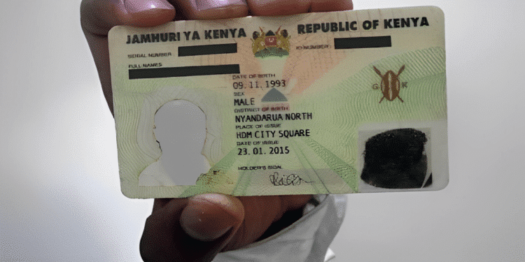 Identity Card: How to Replace a Lost National Identity Card