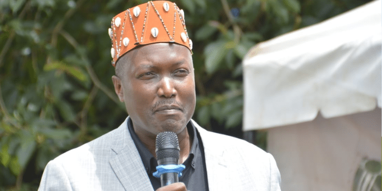A photo of Robert Mbui Kathiani MP