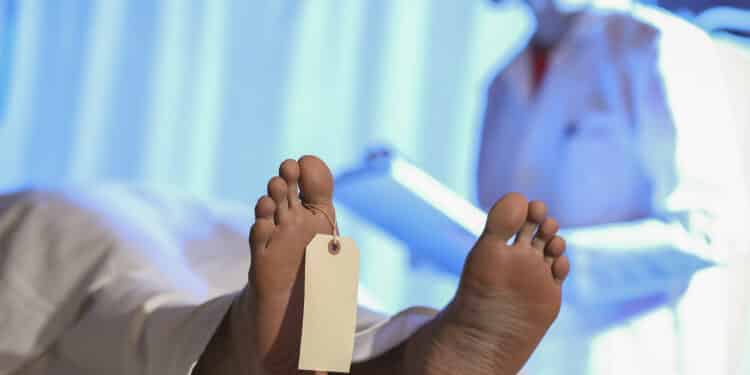 Medical examiner or forensic scientist with dead man's corpse in morgue. Photo/ Pexel