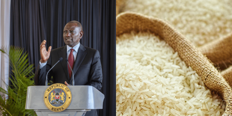 Ruto's Govt to Import Cheap Rice from Pakistan
