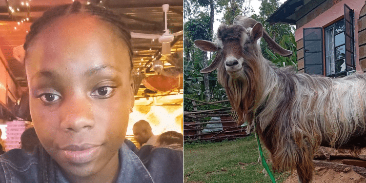 Nkirote Murungi Auctions Family Property To Care For Ailing Parents