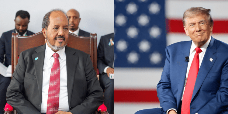 Somalia to Give Trump Balidogle & Berbera Airbases & Ports