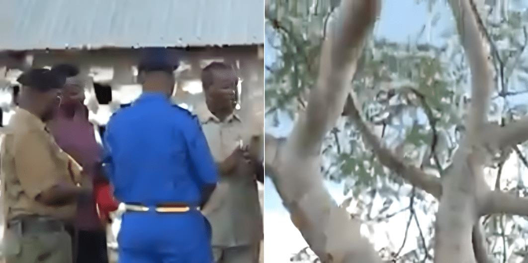 Police officers at the church scene and the holy tree. Photo/ Screen shot