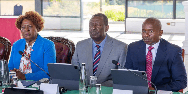 Peter Kagwanja Says Mudavadi Unfit to be Foreign Affairs CS